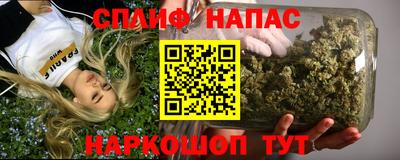 МДПВ Бердск